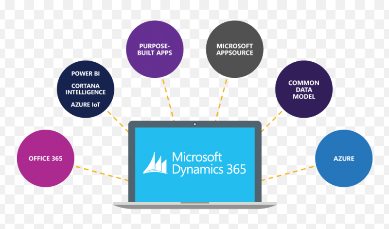 How Much Does Microsoft Dynamics Cost