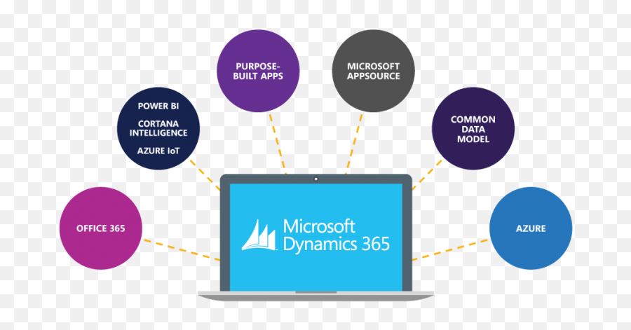 How Much Does Microsoft Dynamics Cost